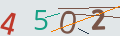 verifycode